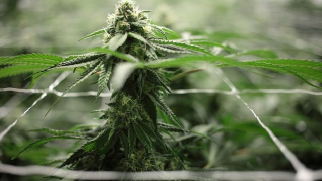 20180828152324-GettyImages-952822276