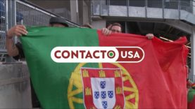 Festa portuguesa no Estádio dos Yankees