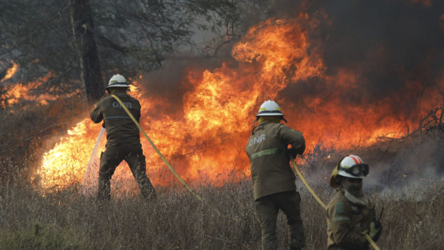 Forest fire in Monchique