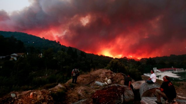 portugalwildfires0608l
