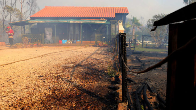 Incêndio florestal que lavra no Algarve, na Serra de Monchique