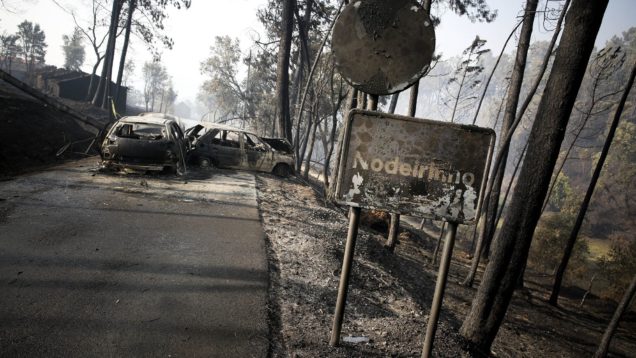 incendio_em_pedrogao_cinzas_em_nodeirinho_190627_foto_joana_bourgardrr9638cdfb