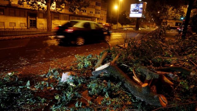 1200-750-rafael_marchante_-_reuters