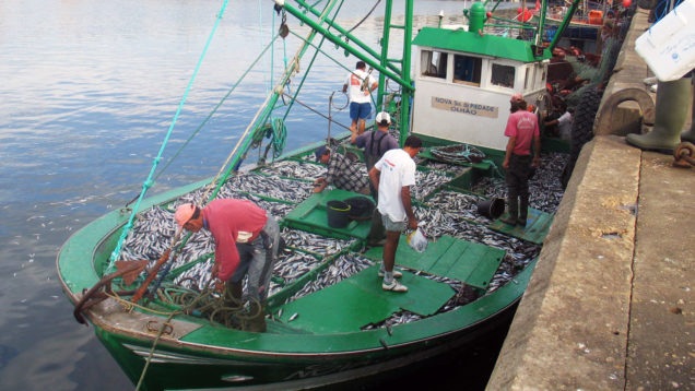 pesca_sardinha_barco_pecadores_olhao