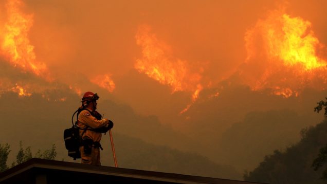 Wildfire-Roof-169823423