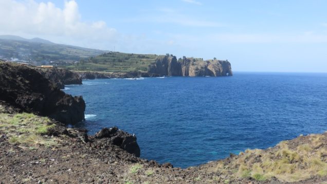 31592962857_fdf98431bf_b