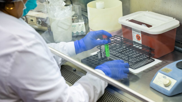 SHC_COVID-PINSKY-LAB_171