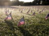 Thousands of US national flags memorialize COVID-19 deaths in the United States