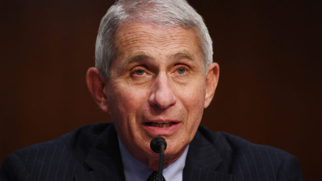 Senate Help Committee Holds Hearing On Safely Going Back To Work And School During Pandemic