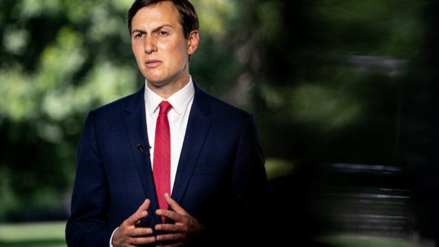 31.03 Jared Kushner