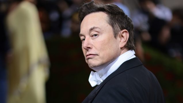 13.02 Elon Musk