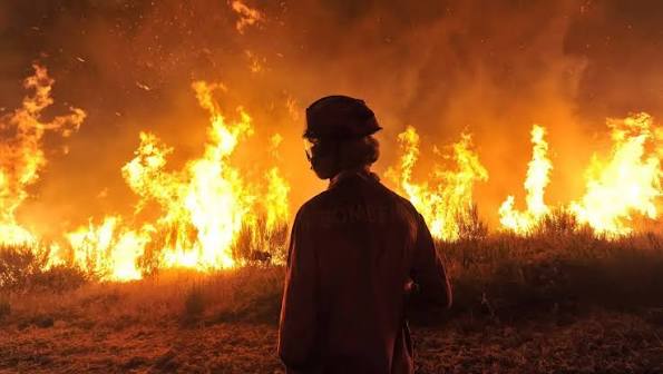 03.08 wildfires
